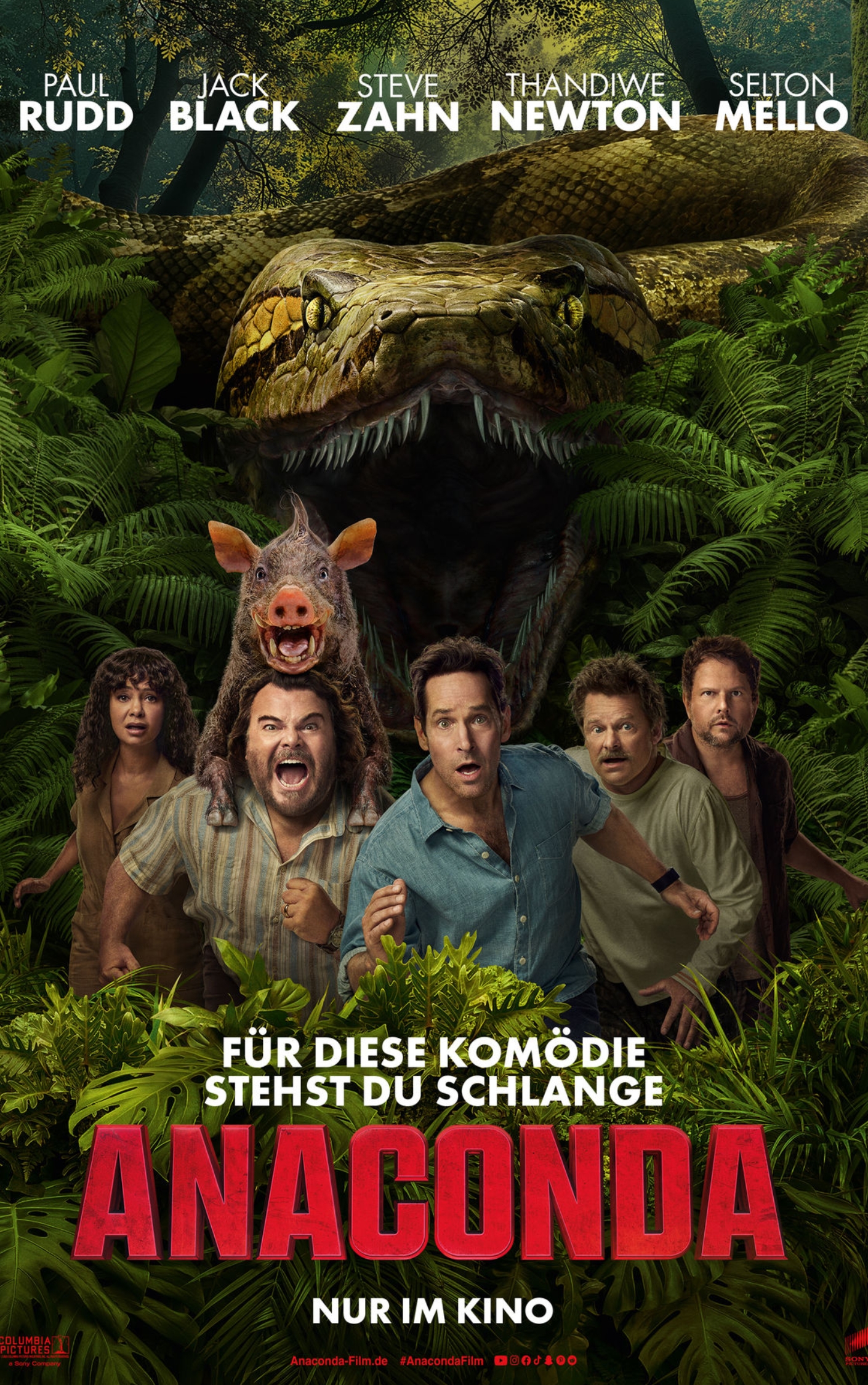 compatibilité iron tv pro android fire stick